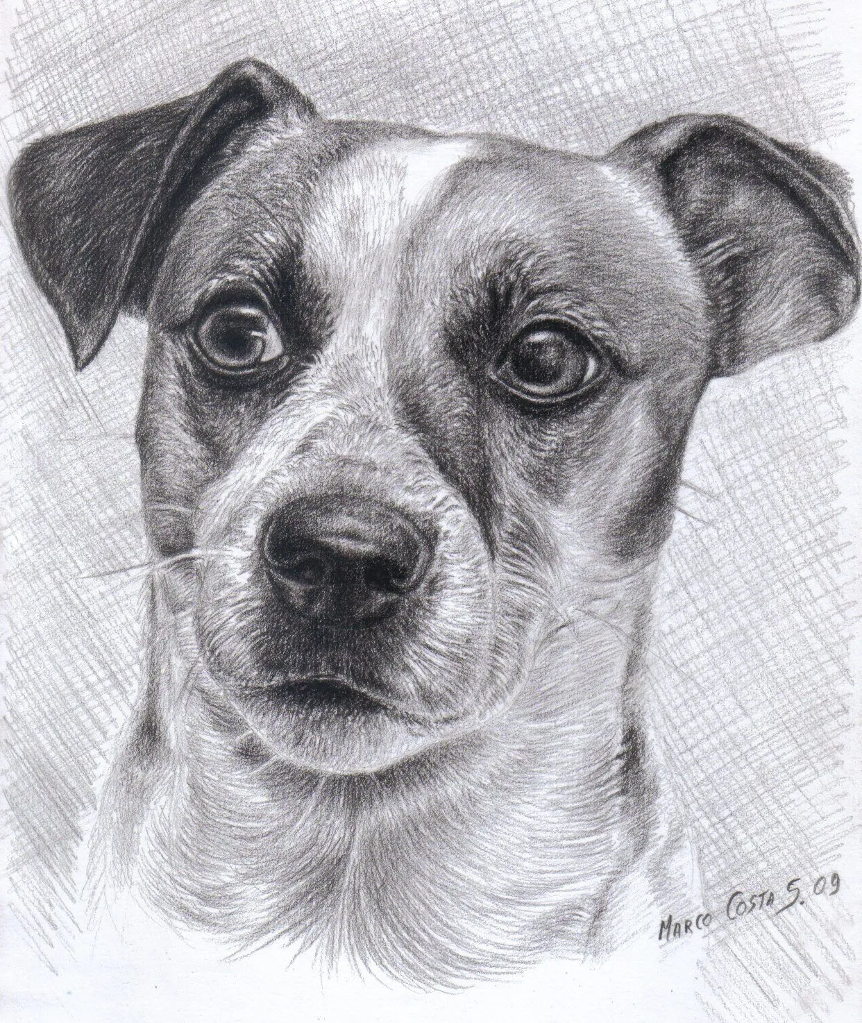 dibujo perteneciente a la serie mascotas de flick realizado con lapiz ... dibujo perteneciente a la serie mascotas de flick realizado con lapiz ...