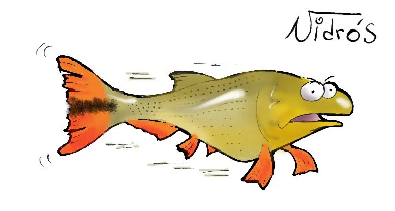 Dibujo del pez Dorado - Imagui