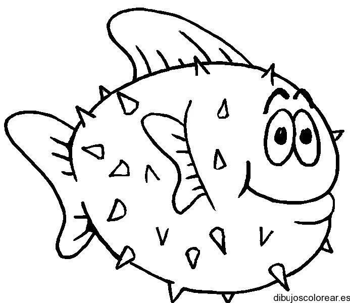 Dibujo de un pez globo | Dibujos para Colorear