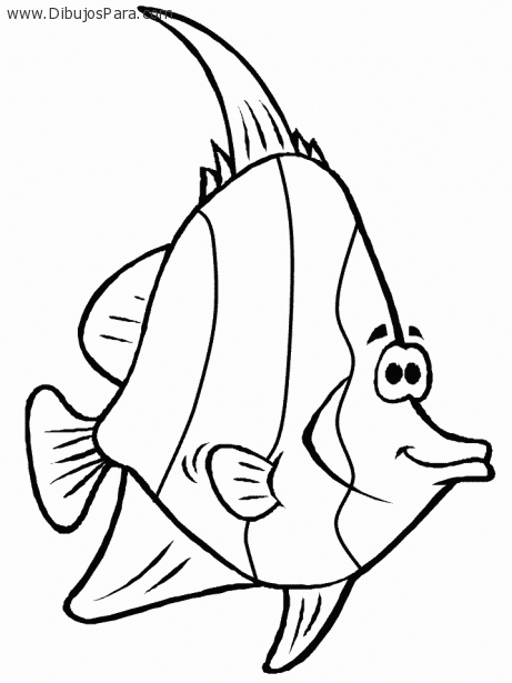 Dibujo de peces para pintar - Imagui