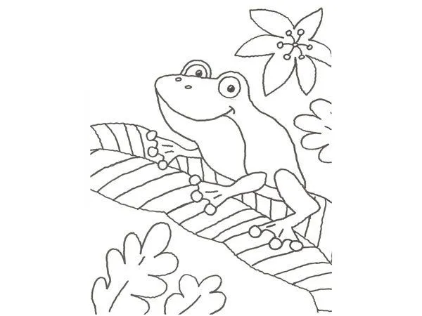 Dibujo para pintar con niños de una rana en la selva