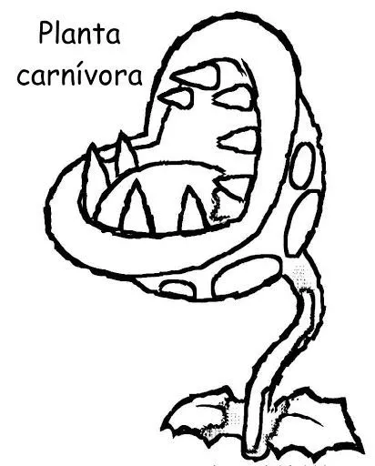 Dibujo de Planta carnívora para Colorear | PLANTAS CARNÍVORAS ...