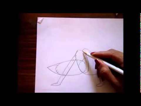 dibujo para principiantes- grillo - YouTube