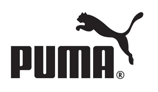 Puma animal para colorear - Imagui