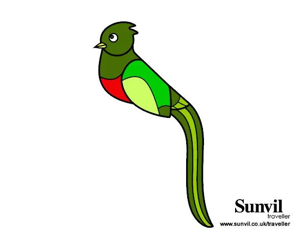 Colorear animal quetzal - Imagui