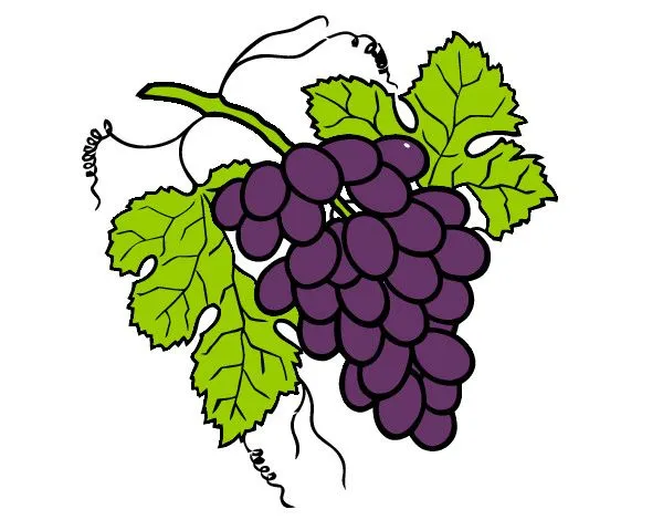 Dibujo de Racimo de uvas pintado por Brvp76 en Dibujos.net el día ...