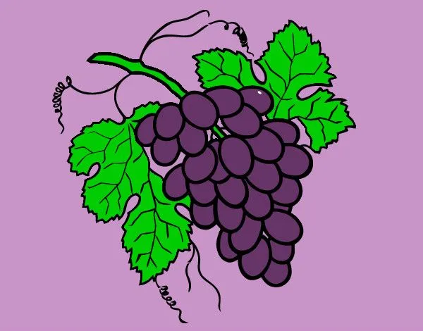 Dibujo de Racimo de uvas pintado por Lamorales en Dibujos.net el ...