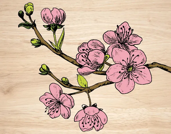 Dibujo de Rama de cerezo pintado por en Dibujos.net el día 23-04 ...