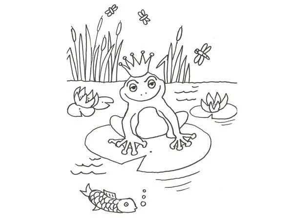 Canciones cortas para bebés de sapos y ranas - Imagui