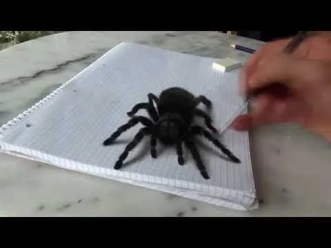 Dibujo realista araña ilusión - YouTube