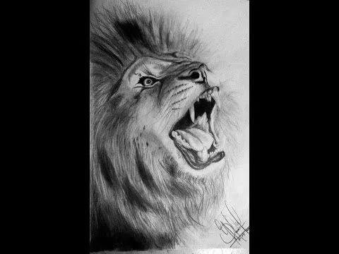 Dibujo Realista león a Lápiz - YouTube