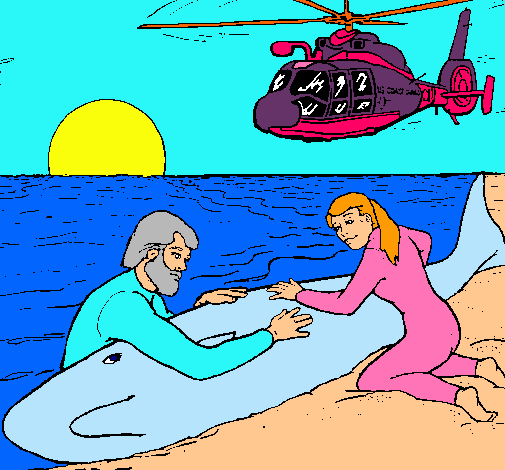 Dibujo de Rescate ballena pintado por Color en Dibujos.net el día ...