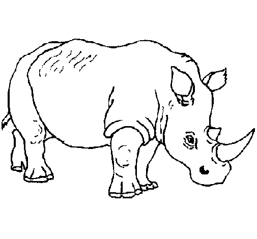 Dibujo de Rinoceronte 3 para Colorear - Dibujos.net
