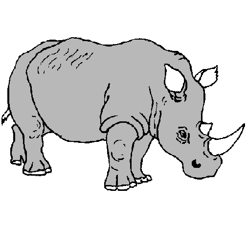 Dibujo de rinoceronte a color - Imagui