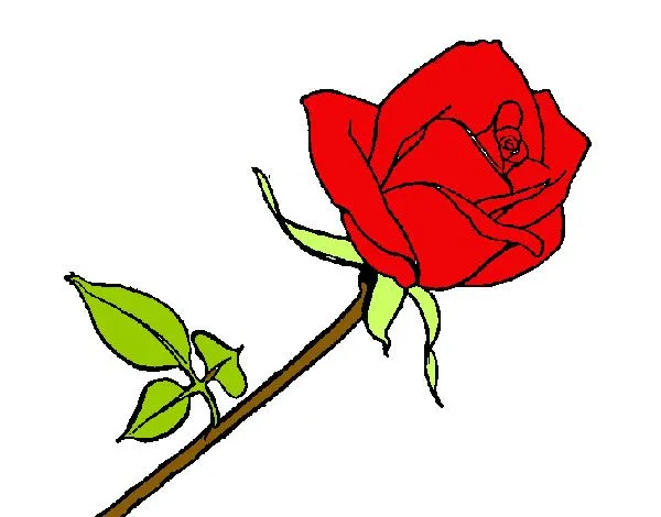 Dibujo de Rosa pintado por Dibujada en Dibujos.net el día 28-11-13 ... Dibujo de Rosa pintado por Dibujada en Dibujos.net el día 28-11-13 ...