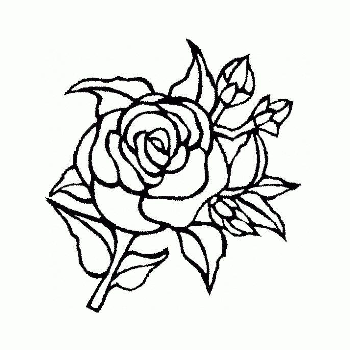 Dibujo de Rosa para colorear. Dibujos infantiles de Rosa. Colorear ... Dibujo de Rosa para colorear. Dibujos infantiles de Rosa. Colorear ...