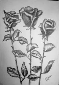 Dibujo de Rosas Con Espinas