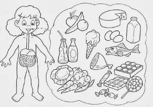 Dibujos para niños para colorear del sistema digestivo - Imagui
