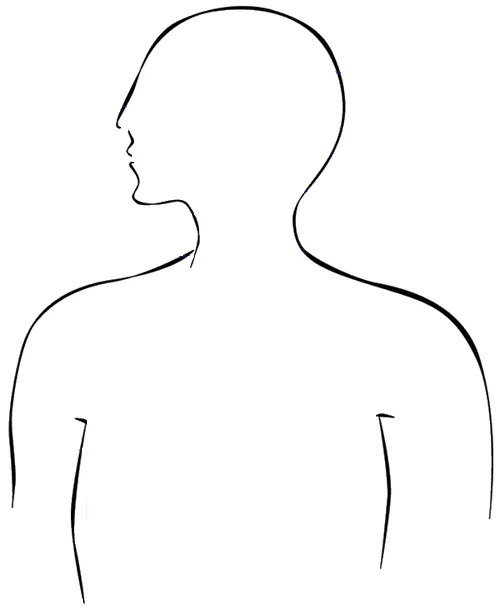 Dibujo del sistema respiratorio para completar - Imagui