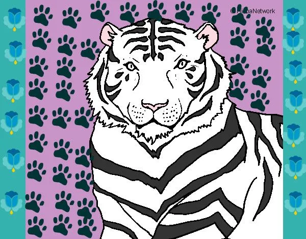 Dibujo de tigre de bengala pintado por Nataliatv en Dibujos.net el ...