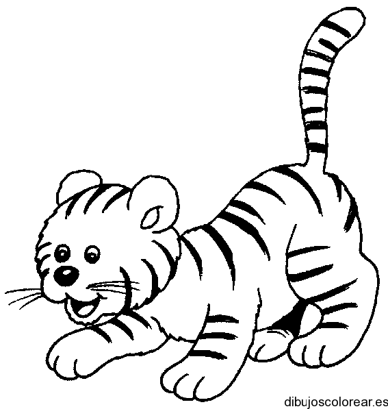Dibujo de un tigre jugando | Dibujos para Colorear