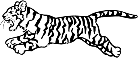Dibujo de Tigre Saltando para colorear | Dibujos para colorear ...