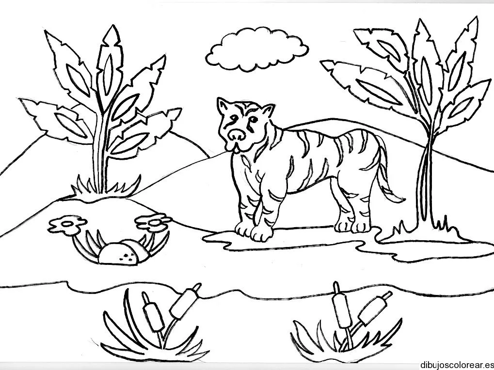 Dibujo de un tigre en la selva