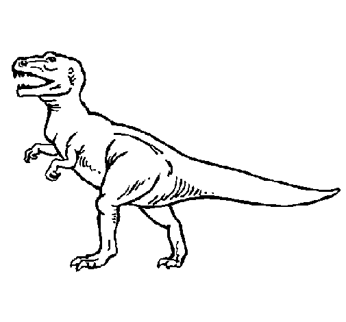 Dibujo de Tiranosaurus Rex para Colorear - Dibujos.net