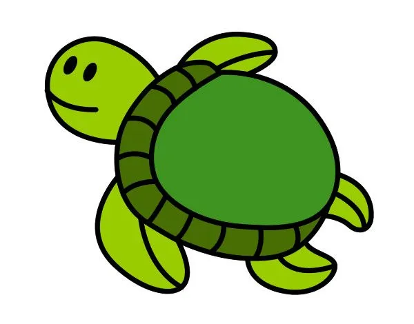 Dibujo de tortuga pintado por Esantalo en Dibujos.net el día 03-08 ...