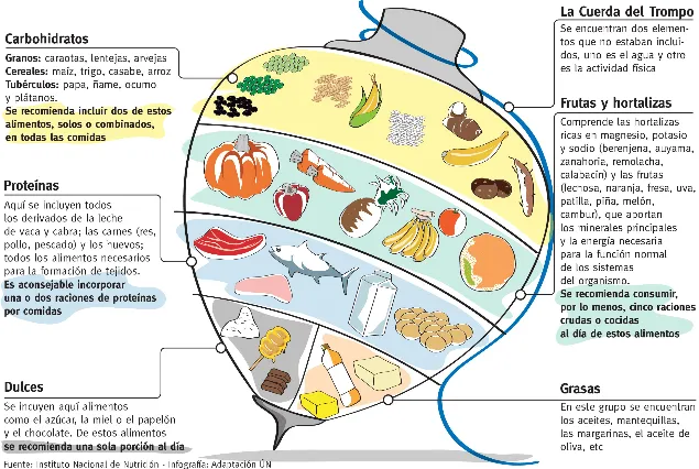 Explicacion del trompo de los alimentos para niños - Imagui