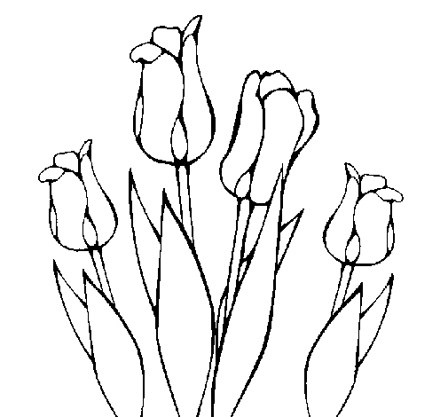 Dibujo de Tulipanes para Colorear - Dibujos.net