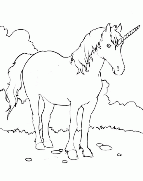 Dibujo de Unicornio para colorear. Dibujos infantiles de Unicornio ...
