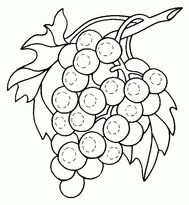 Dibujo para colorear de una uva - Imagui