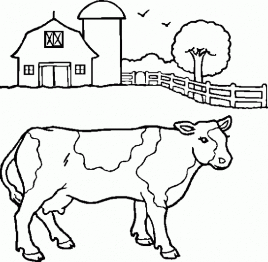 Dibujo de Vaca. Dibujo para colorear de Vaca. Dibujos infantiles ...