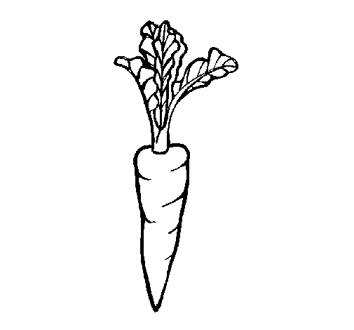 Dibujo de Zanahoria para Colorear