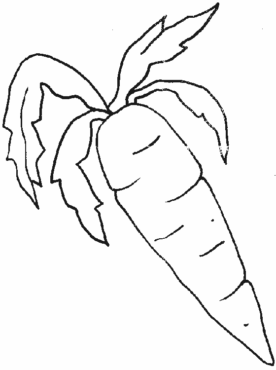 Dibujo de zanahoria para colorear - Imagui