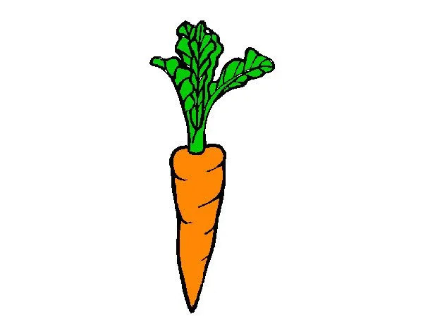 Dibujo de zanahoria pintado por Samantina1 en Dibujos.net el día ...