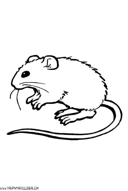 dibujos-de-ratones-46