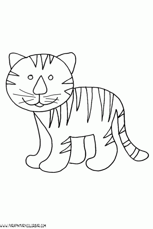 dibujos-de-tigres-020