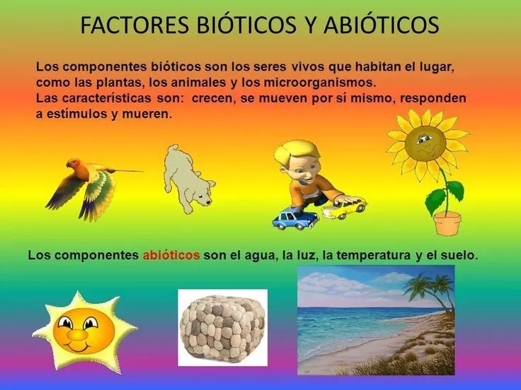 dibujos abioticos y bioticos - Buscar con Google | Factores bioticos y  abioticos, Elementos bioticos, Factores