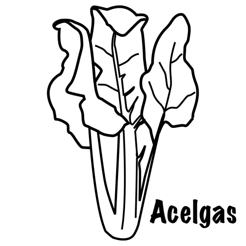 DIBUJOS DE ACELGAS - Imagui