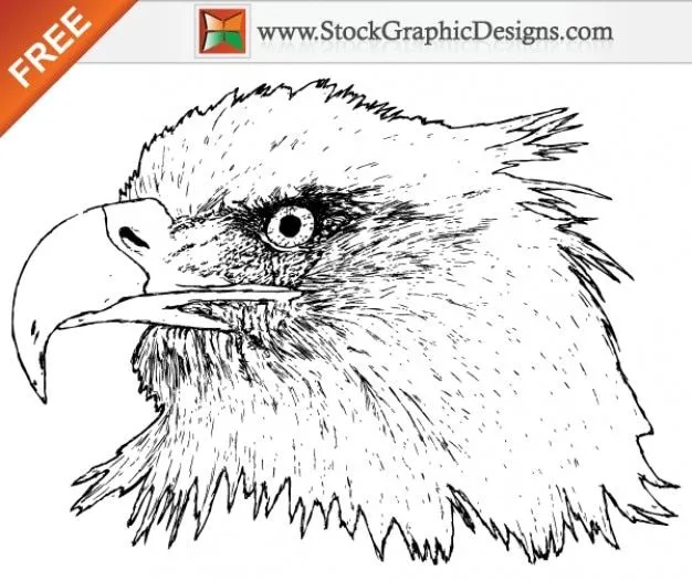 Dibujos De Aguilas | Fotos y Vectores gratis