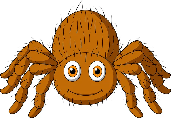 Dibujos animados de araña tarántula lindo — Vector stock ...