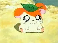 Dibujos Animados: Hamtaro Dibujos Animados: Hamtaro