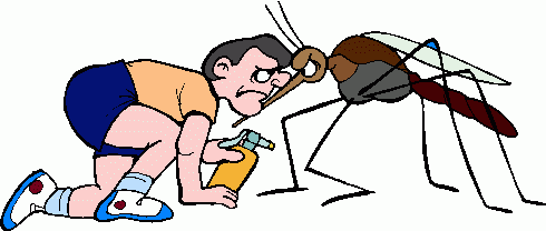 Dibujos animados del mosquito del dengue - Imagui