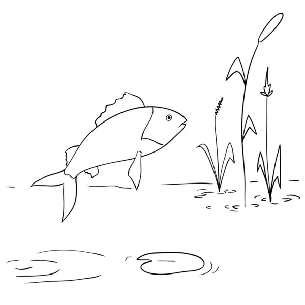 dibujos animados de pescado de río saltando fuera del agua ...