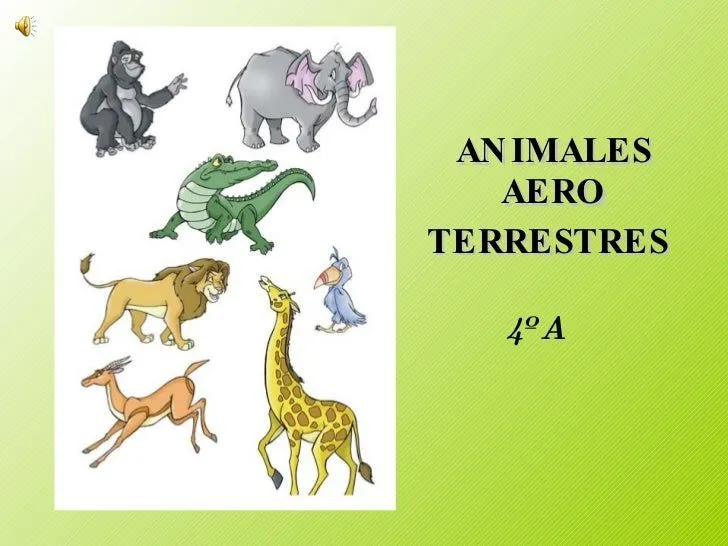 Nombres de animales aeroterrestres - Imagui