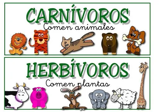 Dibujos de animales carnivoros herbivoros y omnivoros para ...