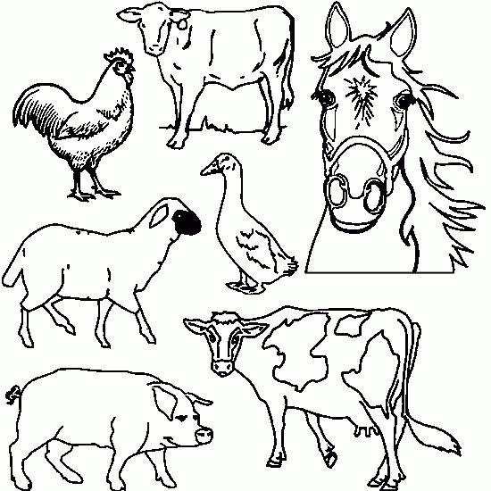 Dibujos de animales DE GRANJA para colorear e imprimir - Imagui