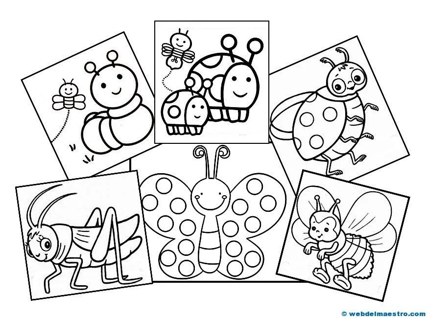 Dibujos de animales (Insectos) - Web del maestro